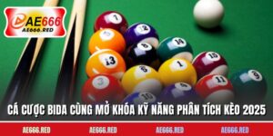 Cá Cược Bida Cùng Mở Khóa Kỹ Năng Phân Tích Kèo 2025