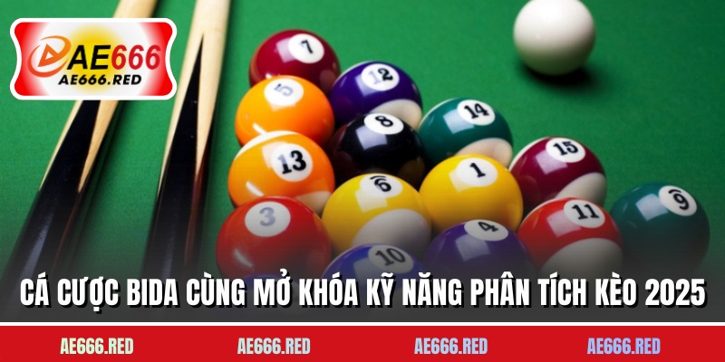 Cá Cược Bida Cùng Mở Khóa Kỹ Năng Phân Tích Kèo 2025