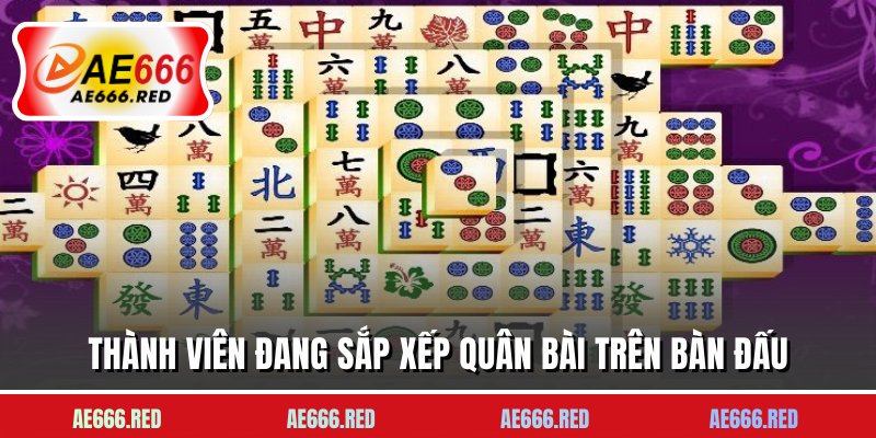 Thành viên đang sắp xếp quân bài trên bàn đấu