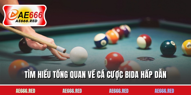 Tìm hiểu tổng quan về cá cược bida hấp dẫn